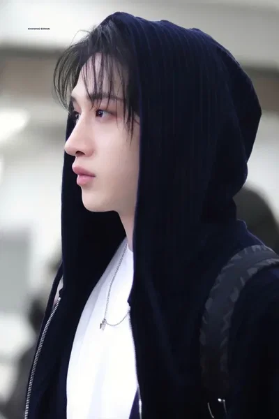*⋆  ̊.Bangchan | JYP audition 