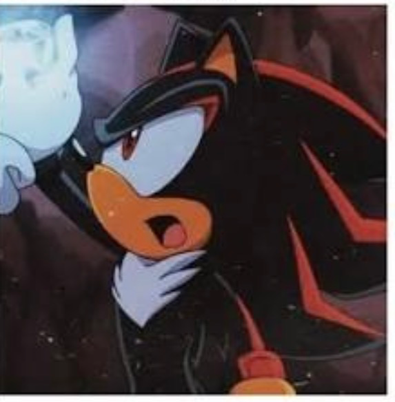 SHADOW THE HEDGEHOG