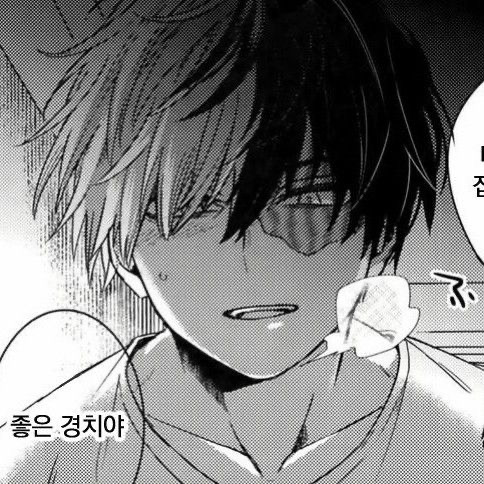 Shoto Todoroki