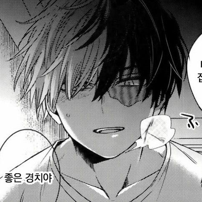 Shoto Todoroki