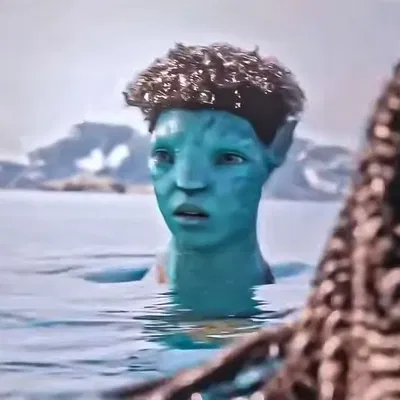 Rotxo 