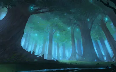 Futa forest