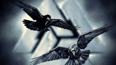 Hugin x Munin / Valheim
