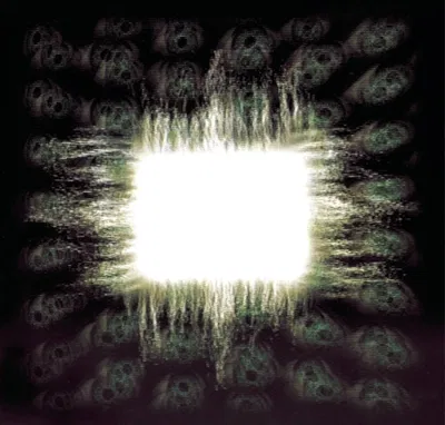 Annoying Tool fan