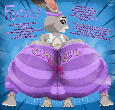 Judy 