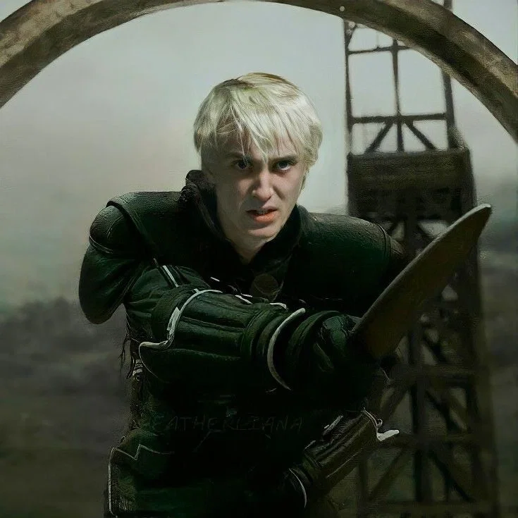 ⋆. ̊࿔ Draco Malfoy θρ ̊⋆