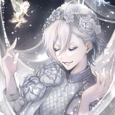 Silver Vanrouge