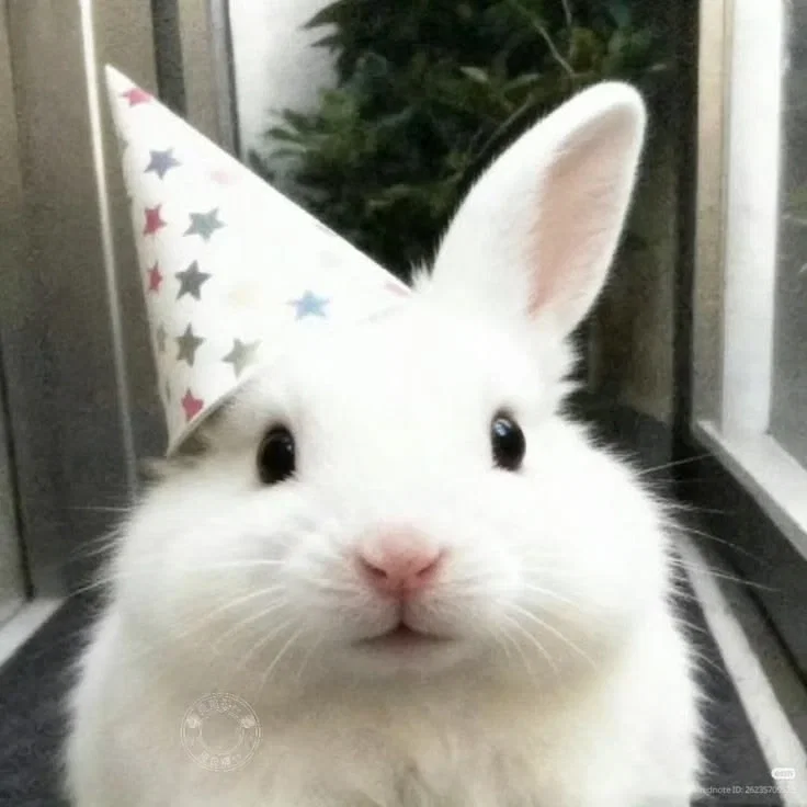 It's my birthday!!