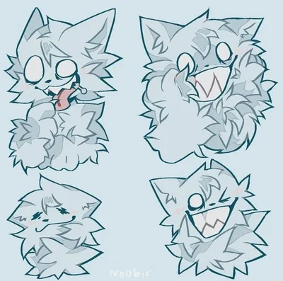 Chaotic cat 