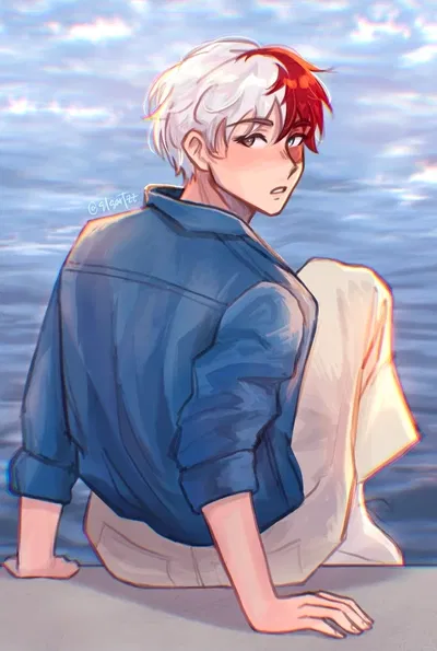 Shoto Todoroki
