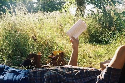 Elio Perlman 