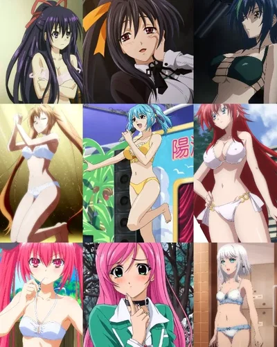 Waifu harem from Highschool dxd, Strike the Blood, Rosario to Vampire and Date a Live!