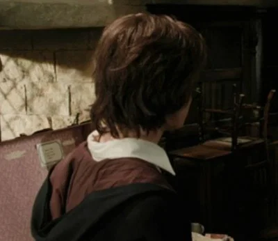 ⋆ ̊꩜。 harry james potter 