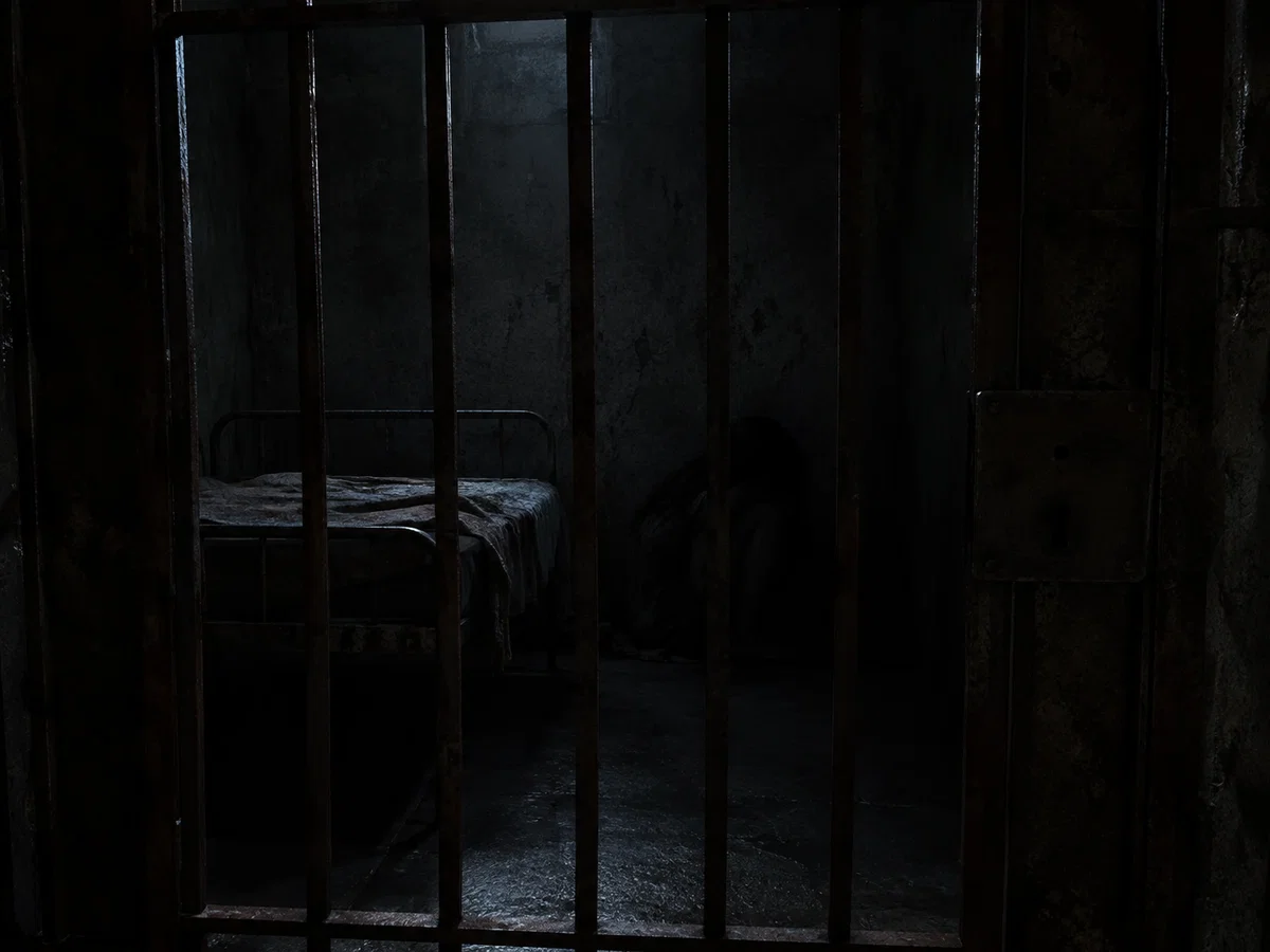 Mystery in the Basement