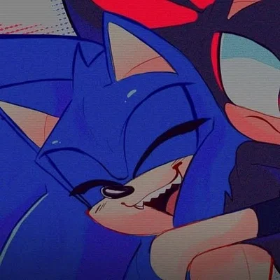 Sonic the hedgehog 
