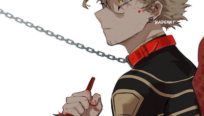 Hawks