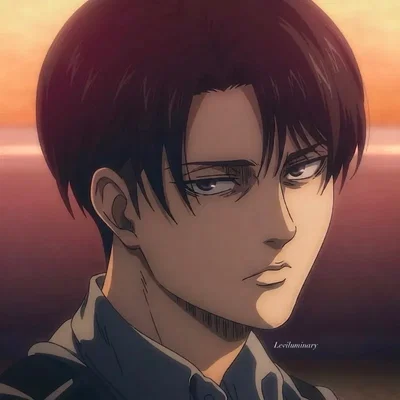 Levi Ackerman 