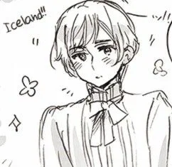 ୧ ׅ Iceland ⊹ ۫ .: 🇮🇸  ♡  ۪ ੭