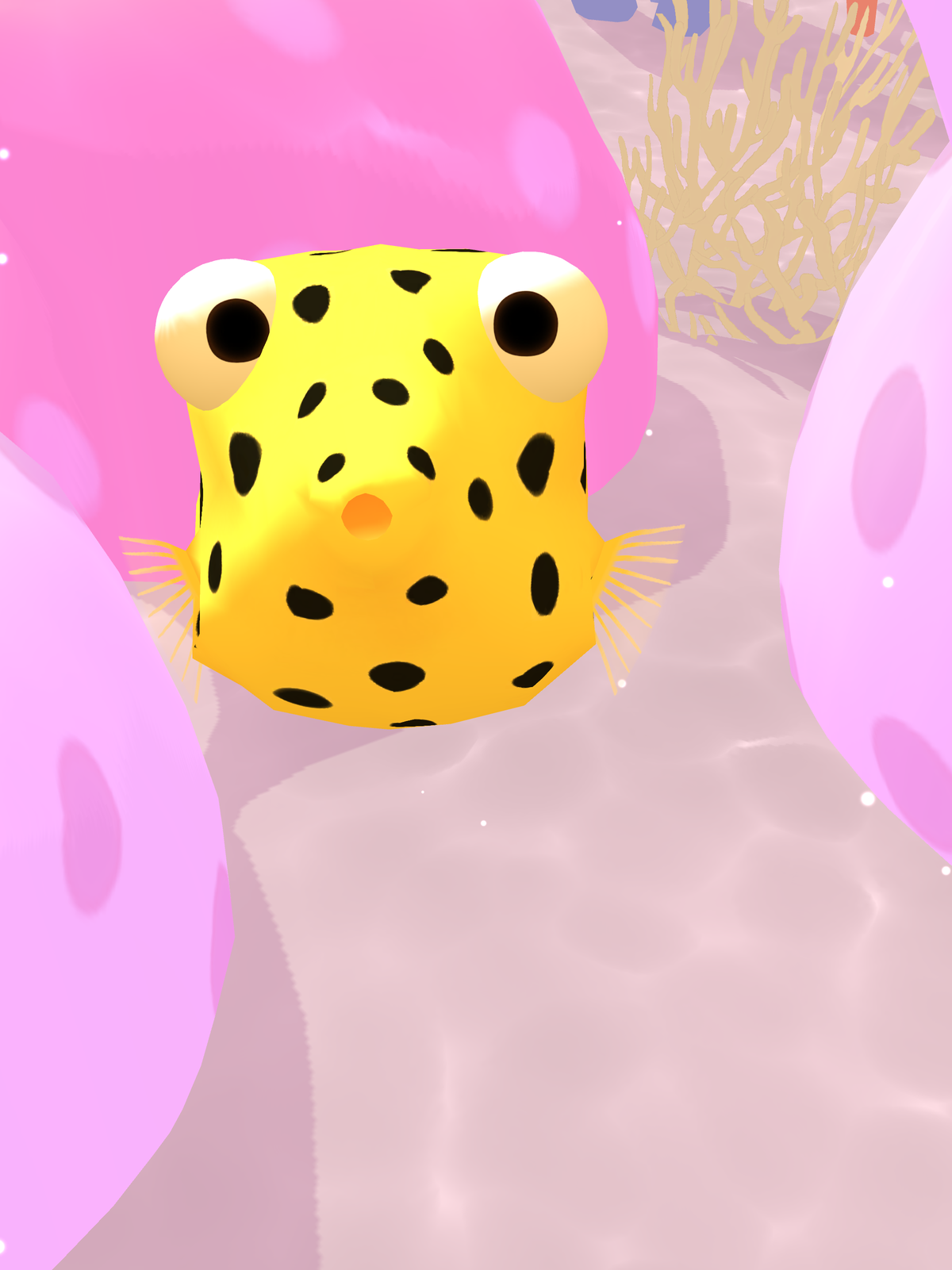 Yellow boxfish