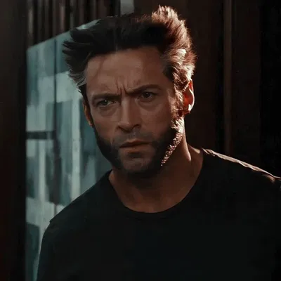 X-Men ꒰ Logan Howlett ꒱