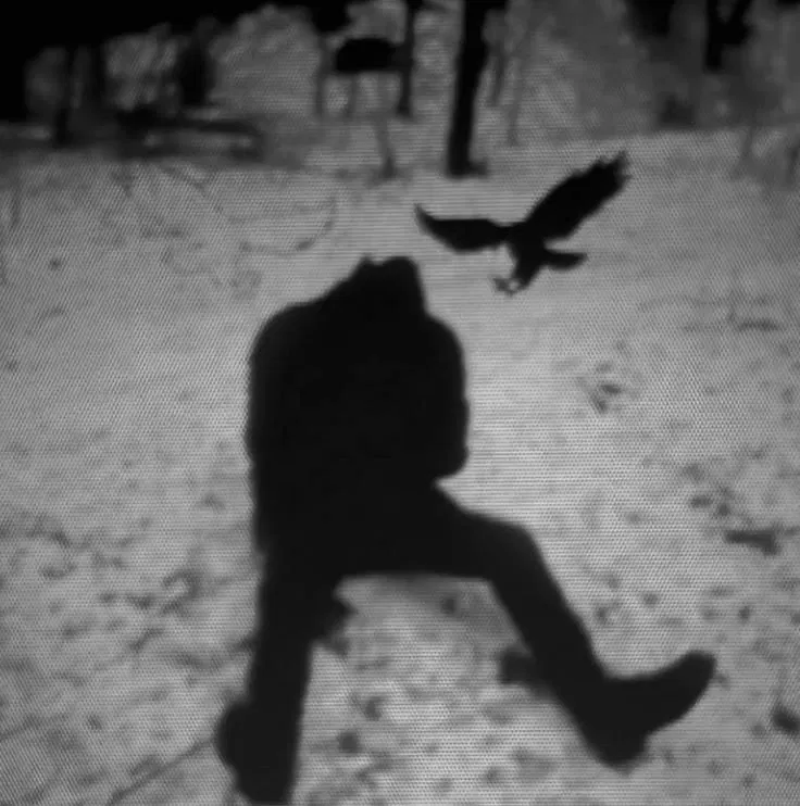 Isolated Man | Shadow in the forest 