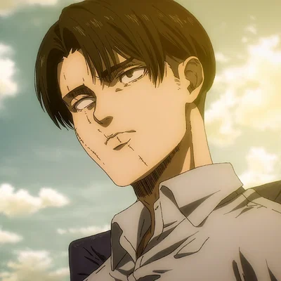 Levi Ackerman- Request