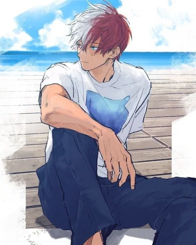 Shoto Todoroki 