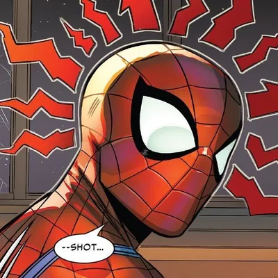 Peter Parker | Spider-Man