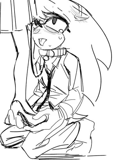 Nicky the Hedgehog
