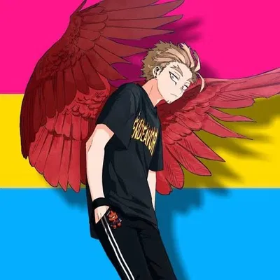 Keigo tatkami (Hawks)