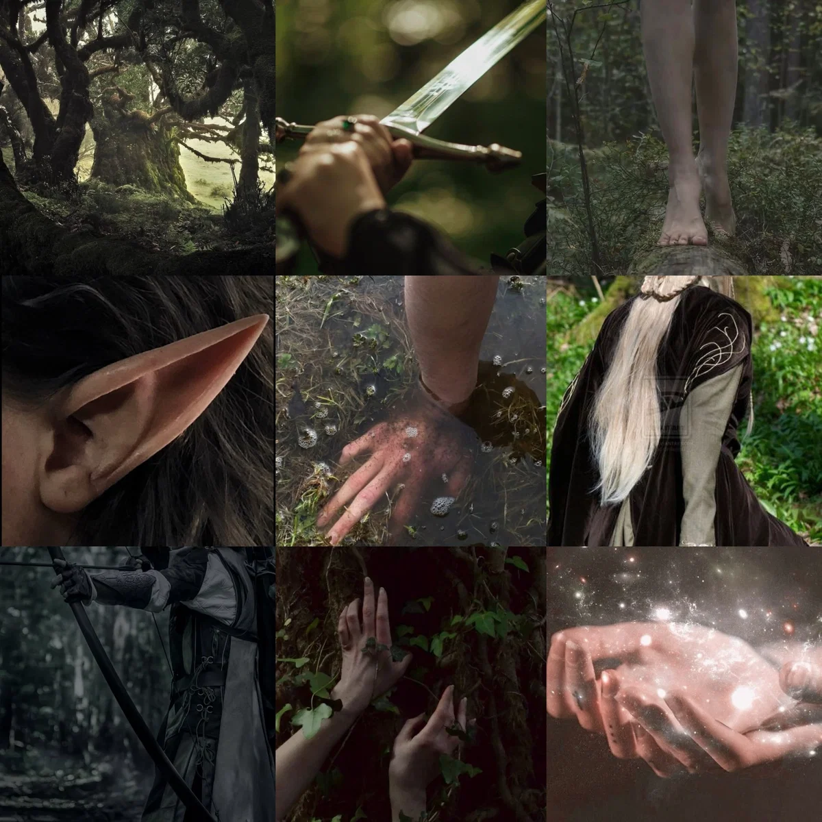 Harem of Elves 