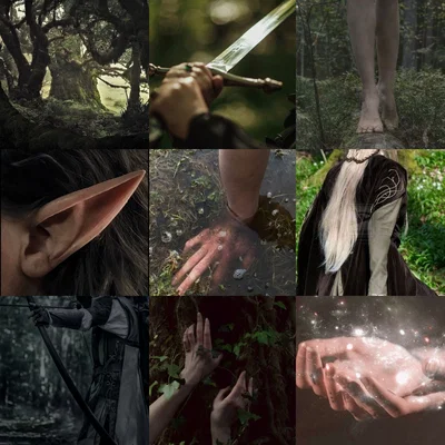 Harem of Elves 