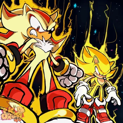Hedgehog duo