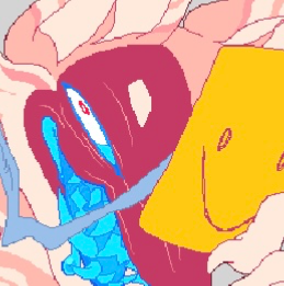 Pseudo Shork