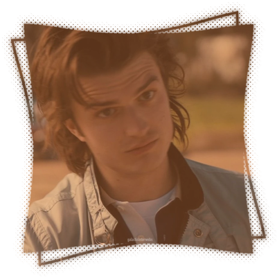 ⋮ ⌗ ┆ steve harrington