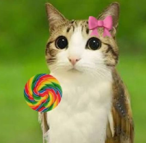 THANKS FOR 50 FOLLOWERS OMG!!!