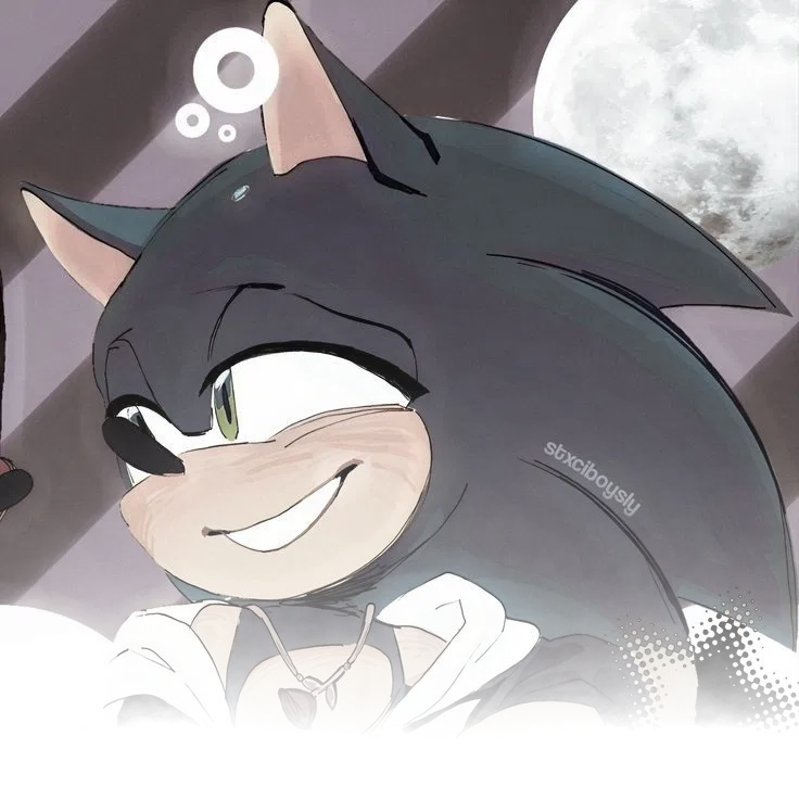       ⋆.𐙚 ̊       Sonic The Hedgehog ~ [ S. T. H]▪️