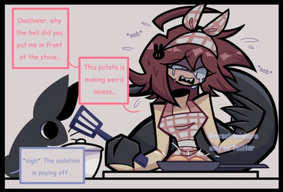 Cooking Problems