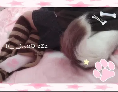 ♡ ~ Your Busy Owner