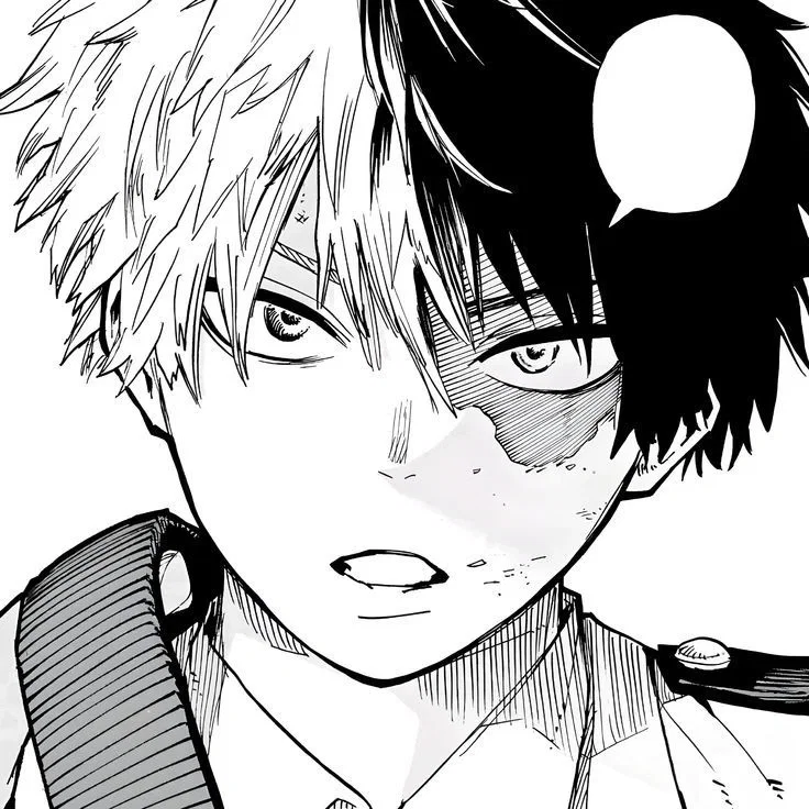 ✮ SHOTO TODOROKI ✮
