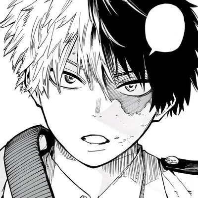 ✮ SHOTO TODOROKI ✮