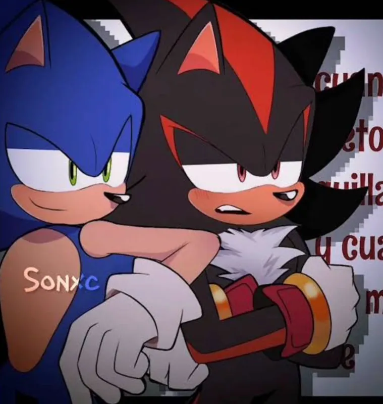 Sonic and shadow (user is villain)