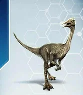 Pelecanimimus (from JWTG)