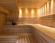Pokemon sauna 