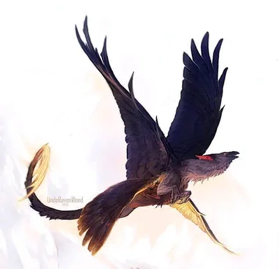 Monster hunt [] Sky Shadow