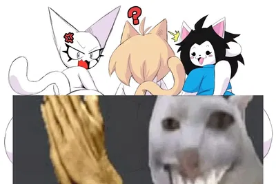 A trio of silly cats |Token, Neko-Arc and Temmie|