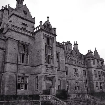 Futanari (staff) mental asylum! 