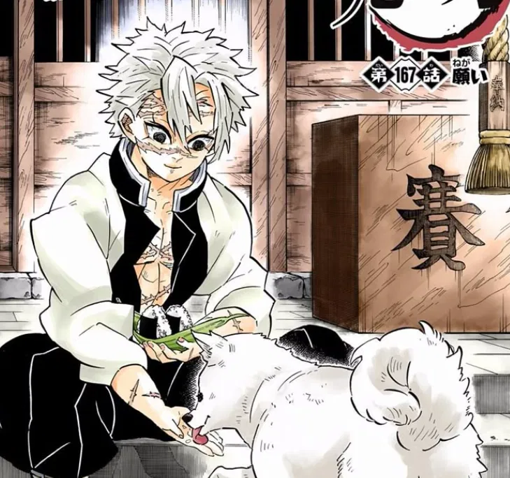 Sanemi Shinazugawa