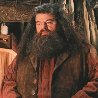 Rubeus Hagrid