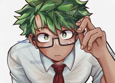 Izuku Midoriya 